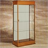 Varsity 694 Series Lighted Floor Case Case Back: Mirror, Wood Color: Autumn Oak