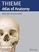 Head and Neuroanatomy (THIEME Atlas of Anatomy) (THIEME Atlas of Anatomy Series)