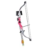 Bear Archery Pink Brave 2 Youth Bow Set