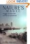 Nature's Magic: Synergy in Evolution and the Fate of Humankind
