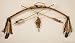 Native American Bow and Arrows