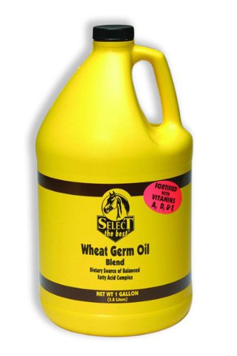 Select the Best Wheat Germ Oil Plus