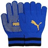 プーマ キャットロゴ マジックグローブ プーマロイヤルの画像
