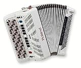 Roland/ローランド　Vアコーディオン　FR3SB/PWHの画像