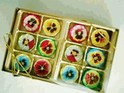 Pansies Solid Milk Chocolate Gift Box (8 Oz)