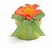 Bloembox Minis: Standard Tithonia in Gift Box