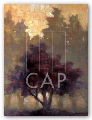 Depth and Tranquility by Connie Geerts 18