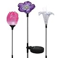 Solar Garden Solar Light Stake 3-pc. Set - Flowers
