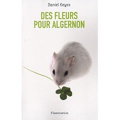 Des fleurs pour Algernon