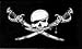Brethren of the Coast Pirate Flag