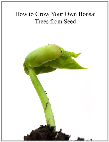 How To Grow Your Own Bonsai Trees From Seed