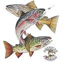 Stream Trout Adult T-Shirt