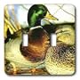 Birds - Mallard Duck - Light Switch Covers - double toggle switch