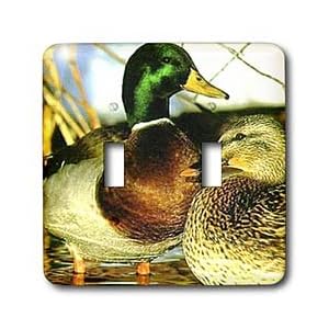 Birds - Mallard Duck - Light Switch Covers - double toggle switch by 