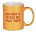 GOD GRANT ME PATIENCE AND I WANT IT NOW! Coffee Mug in Metallic Colors