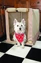 It'z a Breeze Too Tent Crate Model 9362
