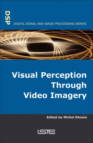 Visual Perception Through Video Imagery (Digital Signal and Image Processing series)