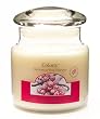 Colony Vanilla & Cranberry Classic Candle