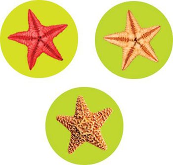 STICKERS STARFISH