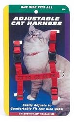 C ADJ FIG H HARNESS 3/8' RED