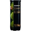 Wilson US Open Regular Duty Tennis Balls (Can) - T1073