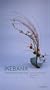 Ikebana : Compositions en pas � pas