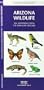 Arizona Wildlife: An Introduction to Familiar Species (State Nature Guides)