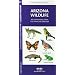 Arizona Wildlife: An Introduction to Familiar Species (State Nature Guides)
