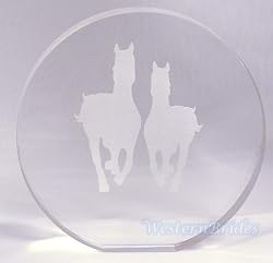 Acrylic Round Horses Cake Top