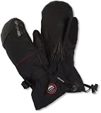 Dakine Men's Rover Mitt