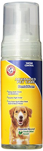 Arm and Hammer Advanced Care Tartar Control Dental Foam for Dogs