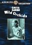 Wild Orchids