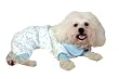 Paw Print PJ's - Pastel with Blue Trim / XX-Small