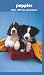 Puppies 2008 - 2009 Pocket Planner