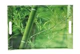 Nuova R2S - R8600,319 - Plateau Rectangulaire - Feuilles Bambou - Plastique