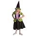 Witch Halloween Costume
