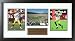 Aaron Rodgers And Donal Driver Green Bay Packers Tri Photo Collage
