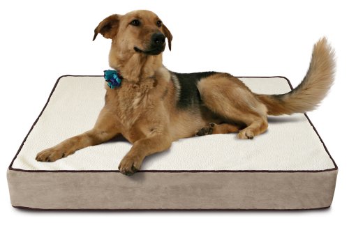 Buddy Beds - Orthopedic Memory Foam Dog Bed - Large Rectangular - Taupe Microfiber