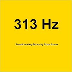 313 Hz Sound Healing Series by Brian Baxter (Audio CD - 2009)