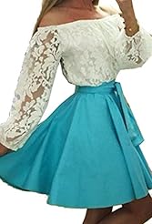 Lace Belted Polyester/Spandex Off the Shoulder Checkered Print Spring Winter Cocktail Skater Dress/Party Dress 