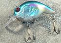 JLVLures Shallow Crankbait American Shad: Diver Lures JLV Freshwater Smallmouth Steelhead Pike Salmon Trout Perch Whiper Mid Depth Walleye Casting Bass Hook Treble Bronze Boat Dock Brook Bay Little Stump River Trolling Weed Surface Topwater Shad