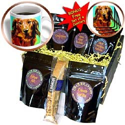 Dogs Dachshund - Dachshund - Coffee Gift Baskets - Coffee Gift Basket by 3dRose LLC