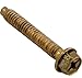 Pentair 79210600 Stainless Steel Hex Head Bolt Replacement Pool and Spa Light
