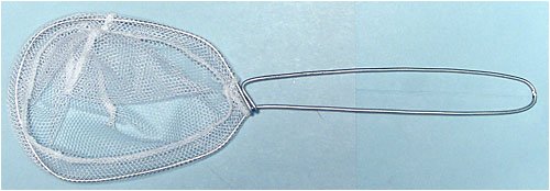 Childrens Toyshop  Sporting Goods : HT Enterprises Minnow Net