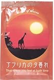 セントオブシーン アフリカの夕暮れ