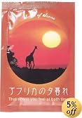 セントオブシーン アフリカの夕暮れ