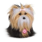 American Girl Sugar Pet Set