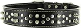 Kakadu Pet Punk Pooch Leather Studded Dog Collar, 1 1/2