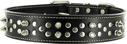 Kakadu Pet Punk Pooch Leather Studded Dog Collar, 1 1/2" x 27 1/2", Black