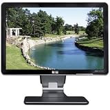 24 HP Debranded DVI Widescreen LCD Monitor w/USB (Black)